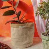 Jute planter- 100% biodegradable- Multi-use